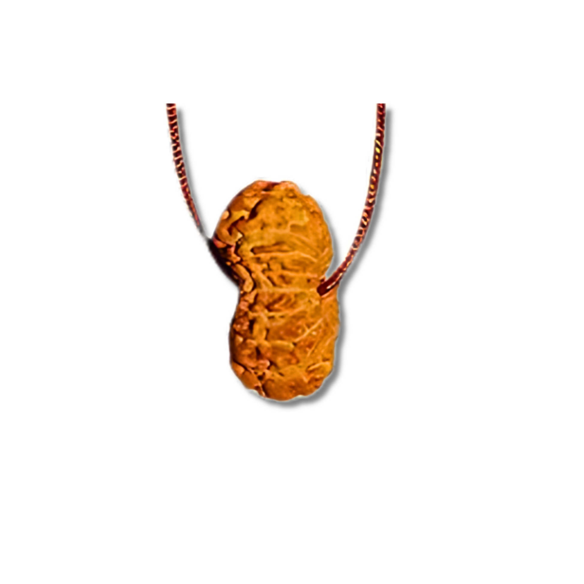 19-Augen-Rudraksha_Java