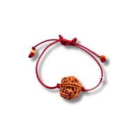 6-Augen-Rudraksha-Nepal_Armband