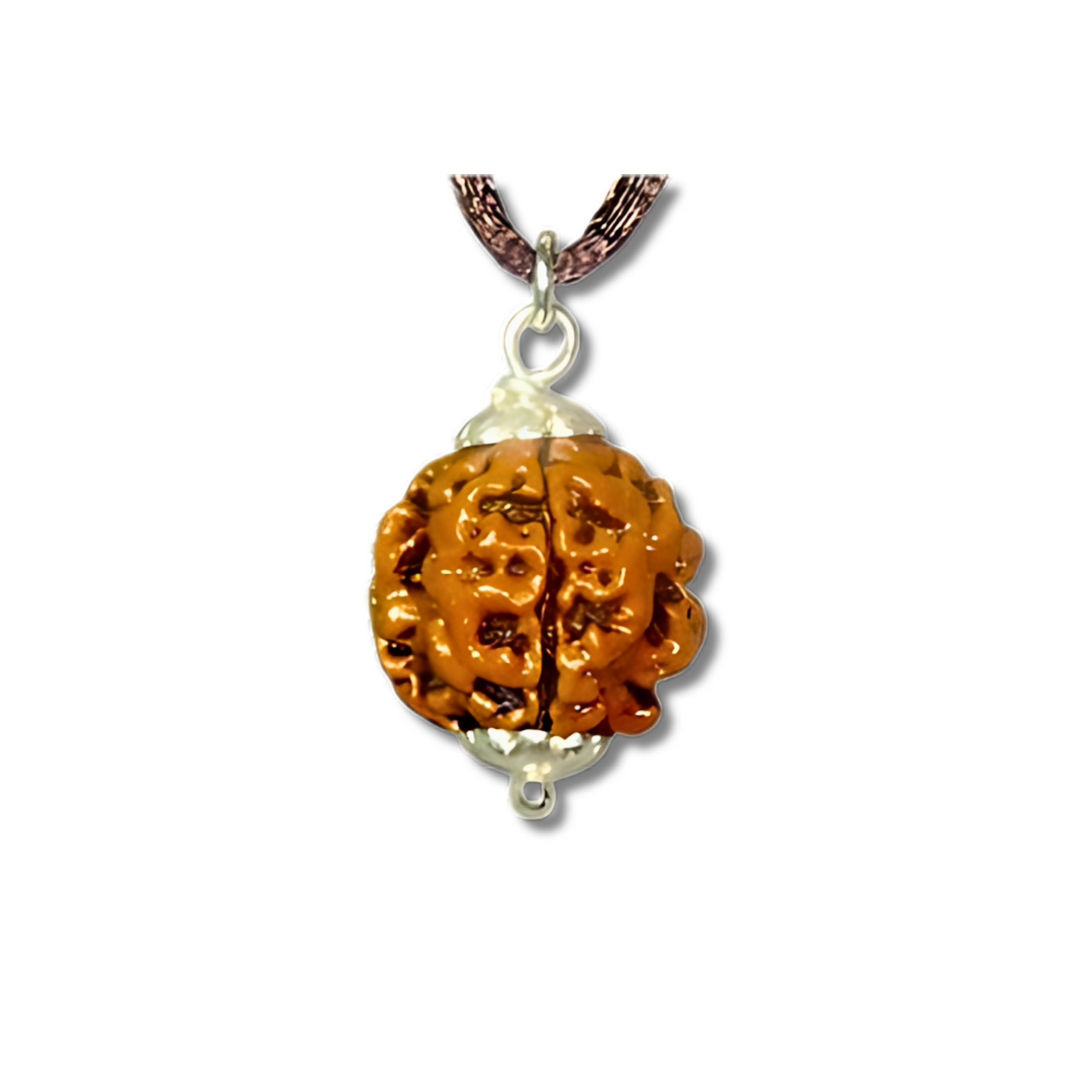 6-Augen-Rudraksha-Nepal_SilverPendant