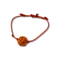 6-Augen-Rudraksha_Java_ThreadedArmband