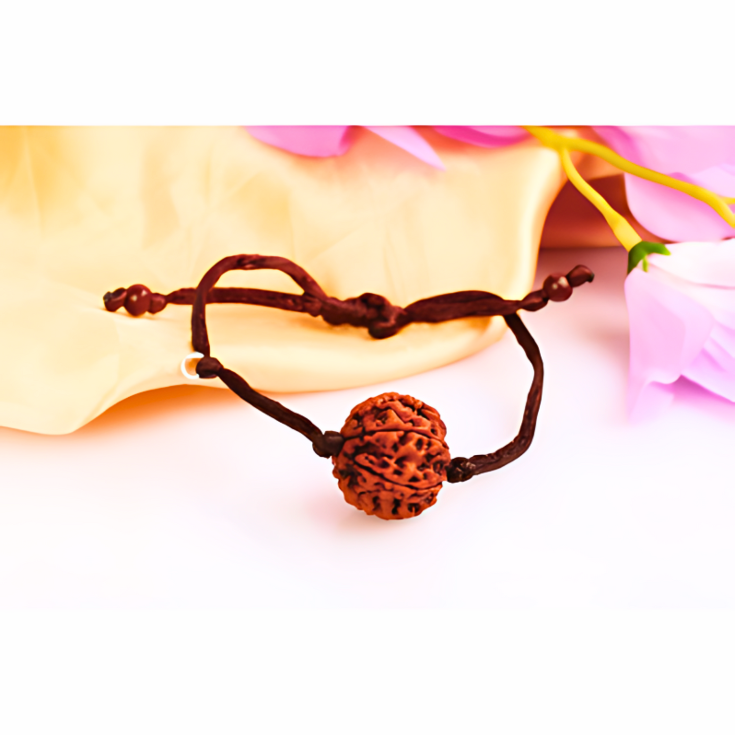 6-Augen Mars-Rudraksha Armband (Nepal)