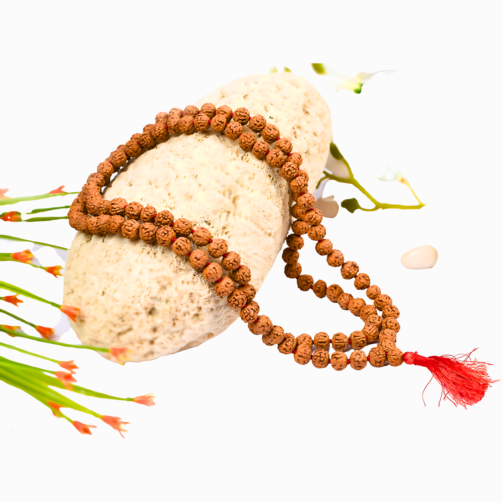 10-Augen-Rudraksha-Mala-108_1