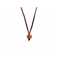 11-Augen-Rudraksha (Java) - Schenkt Mut, Selbstbewusstsein und Ausdrucksstärke