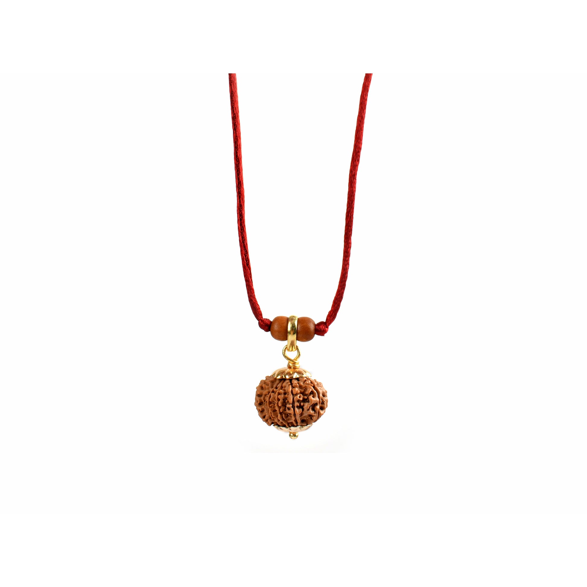 11-Augen-Rudraksha (Nepal) - Schenkt Mut, Selbstbewusstsein und Ausdrucksstärke