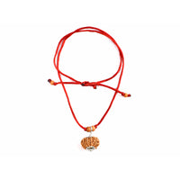 11-Augen-Rudraksha (Nepal) - Schenkt Mut, Selbstbewusstsein und Ausdrucksstärke