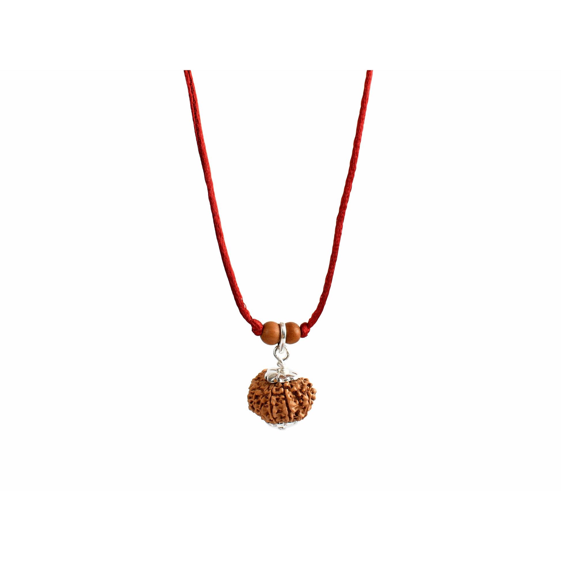 11-Augen-Rudraksha (Nepal) - Schenkt Mut, Selbstbewusstsein und Ausdrucksstärke