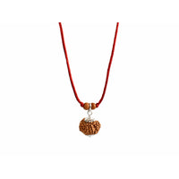 11-Augen-Rudraksha (Nepal) - Schenkt Mut, Selbstbewusstsein und Ausdrucksstärke