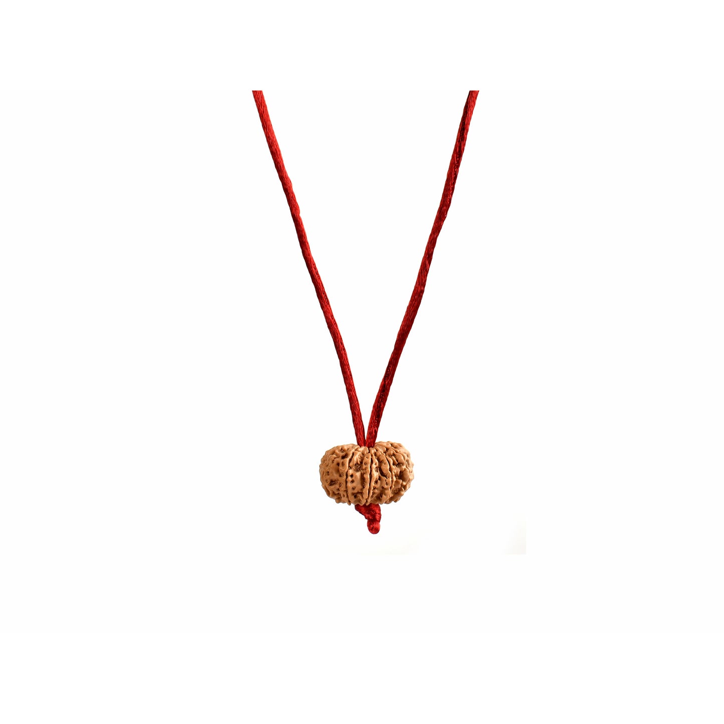 11-Augen-Rudraksha (Nepal) - Schenkt Mut, Selbstbewusstsein und Ausdrucksstärke