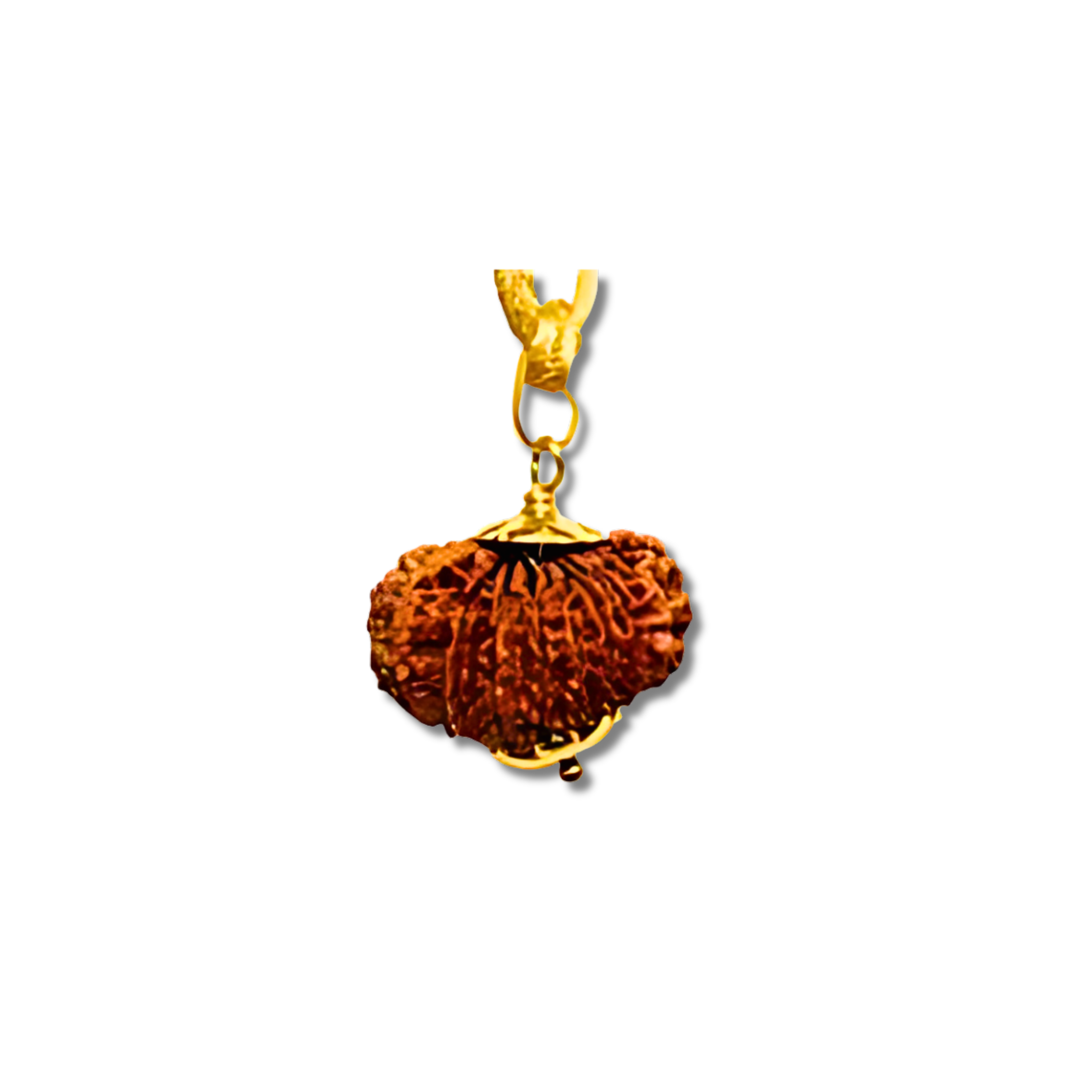 19-Augen-Rudraksha_Nepal