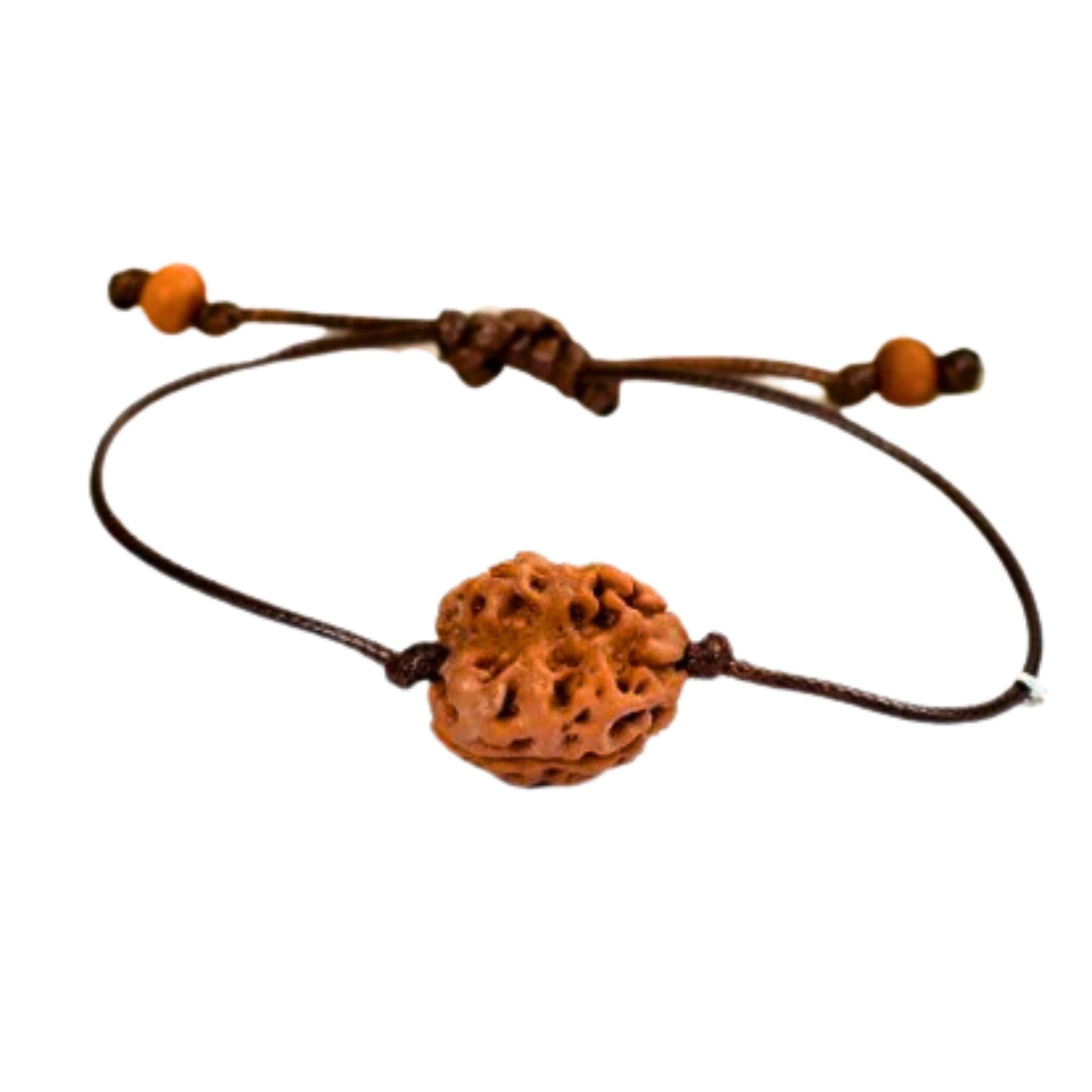 2-Augen Rudraksha_Nepal_armband