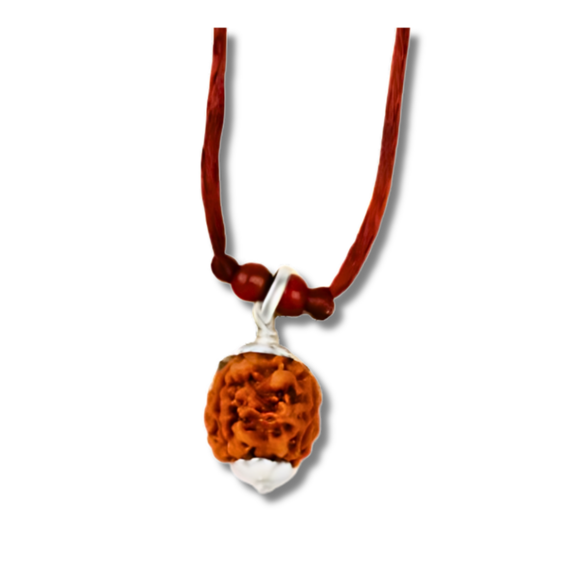 3-Augen Rudraksha_Nepal_Silver Pendant