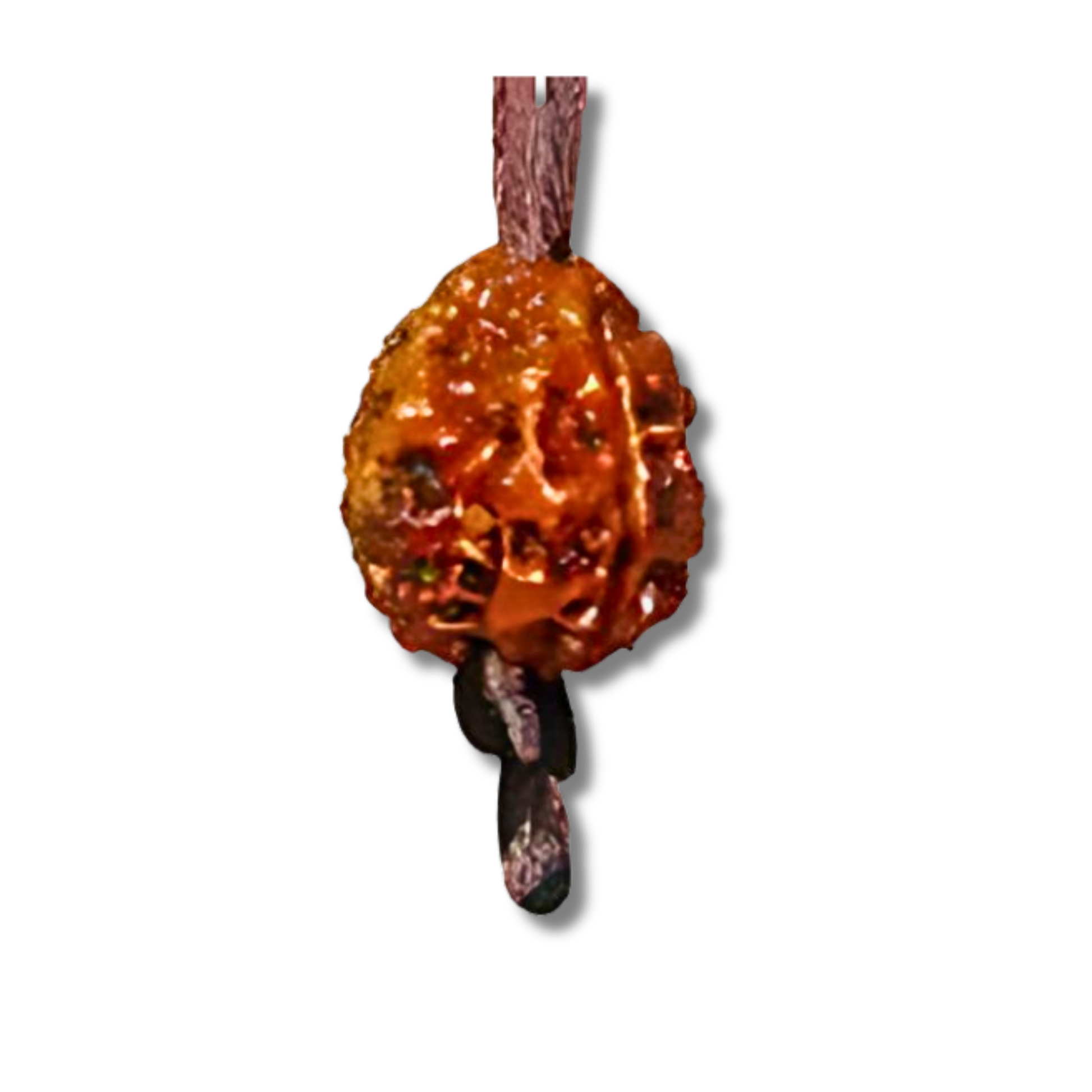 3-Augen Rudraksha_Nepal_amBand