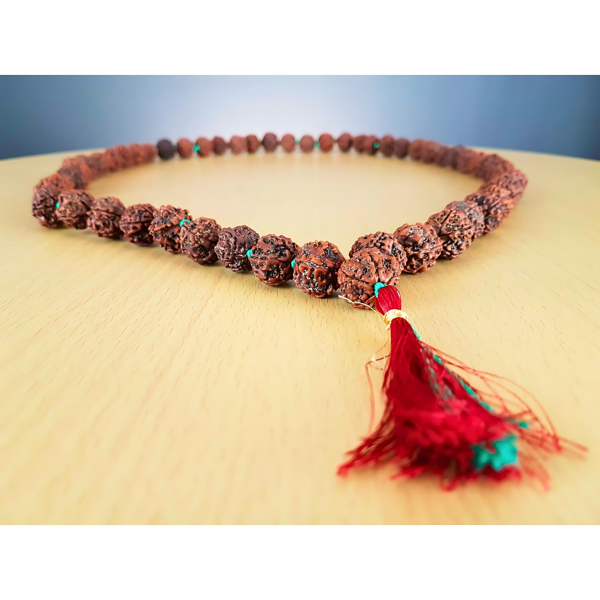 5-Augen-Rudraksha-Mala15-20mm108_1