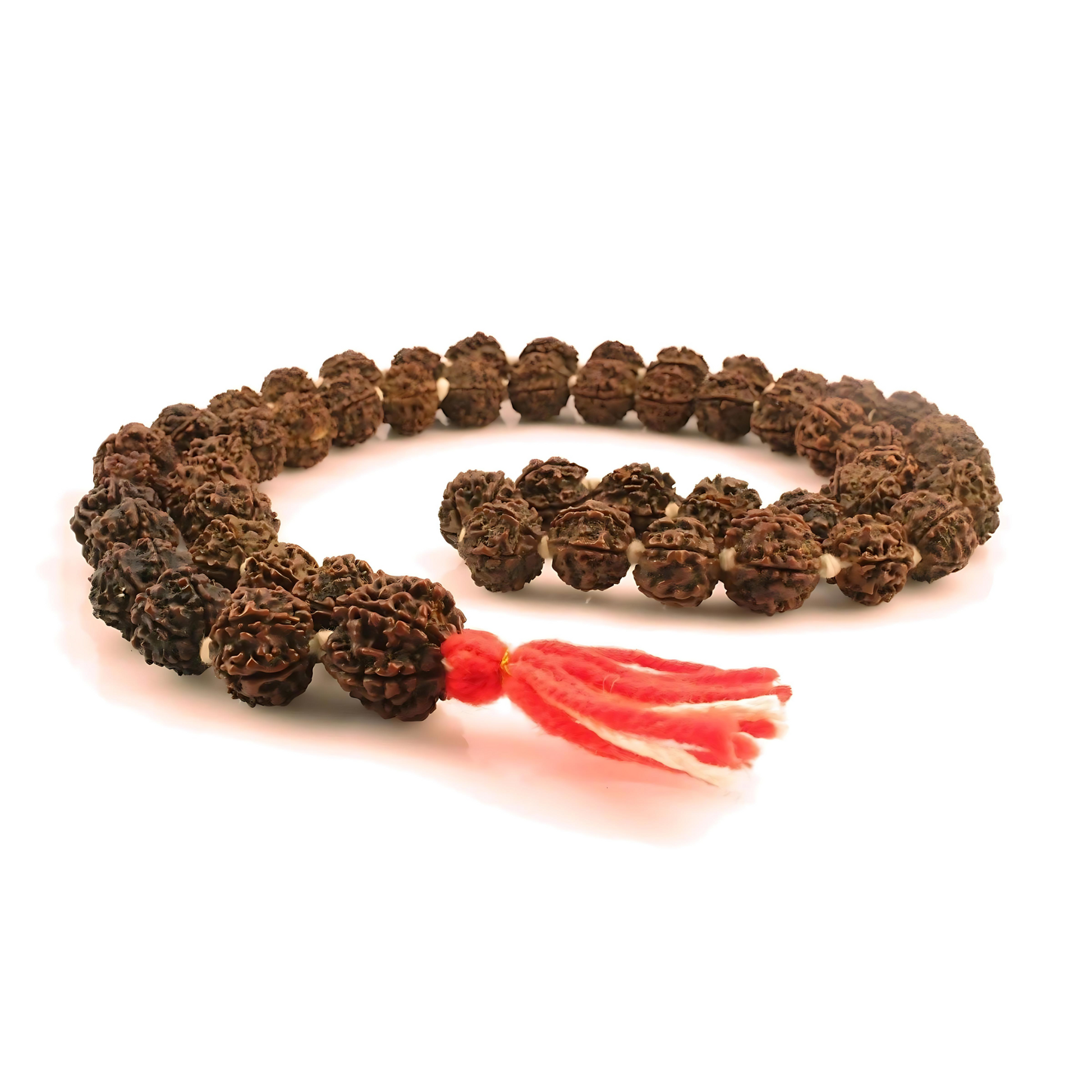 5 und 6-Augen-Rudraksha-Mala