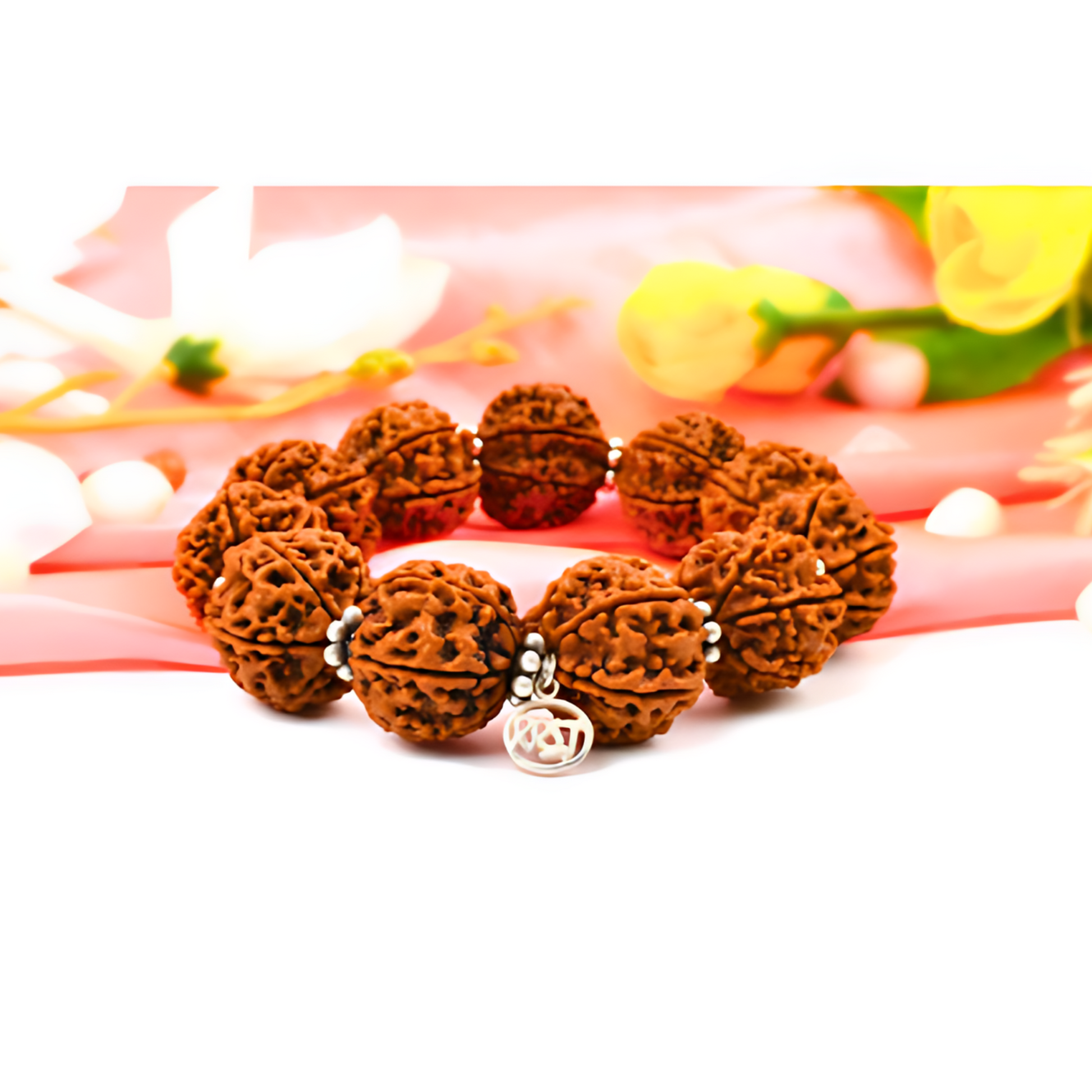 6-Augen-Rudraksha-Mars-Armband-silber