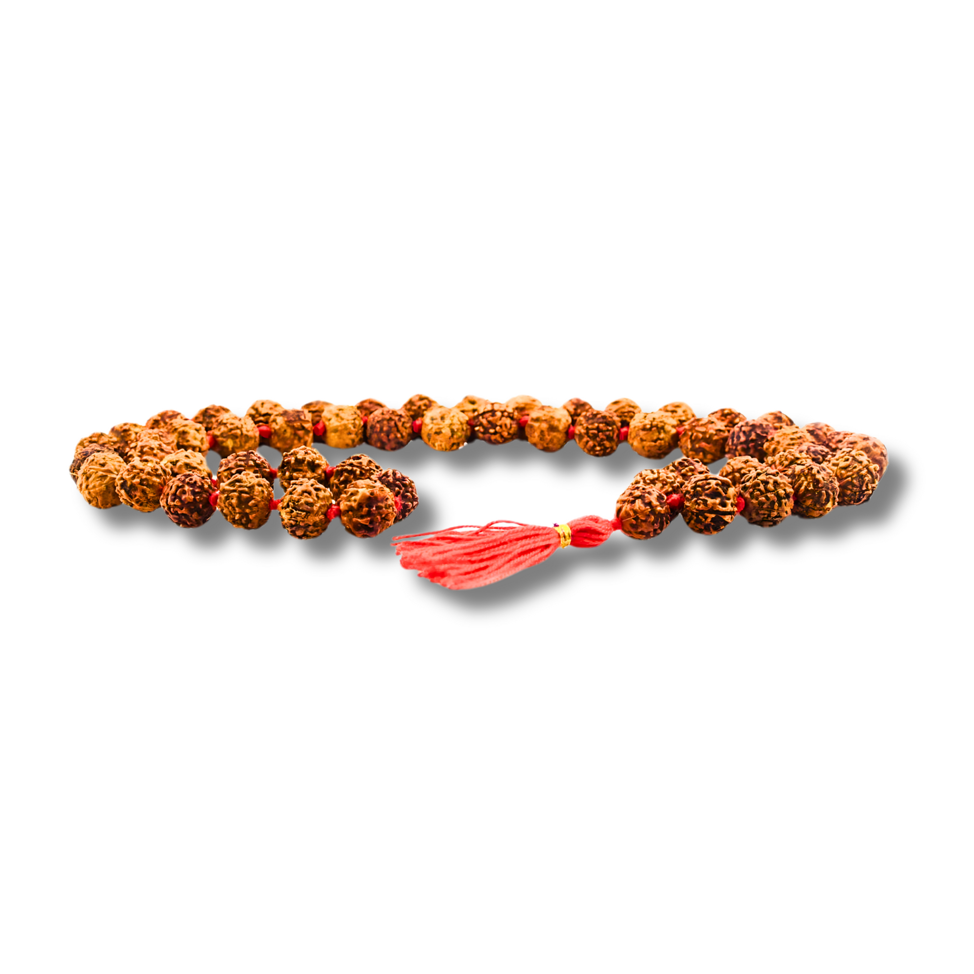 7-Augen-Rudraksha-Lakshmi-Mala