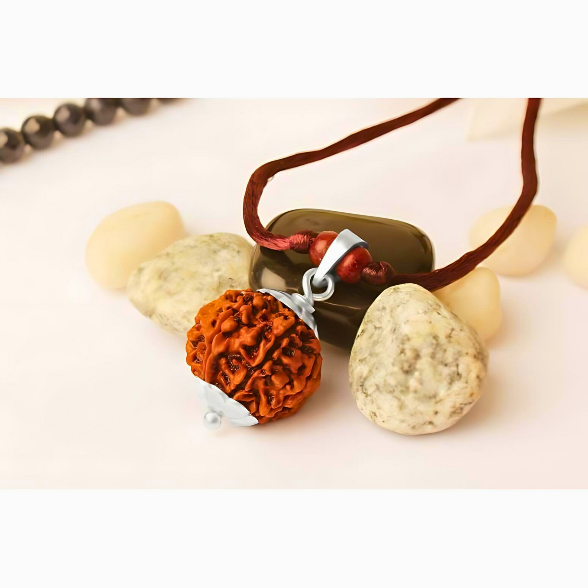 7-AugenRudraksha_Nepal_L