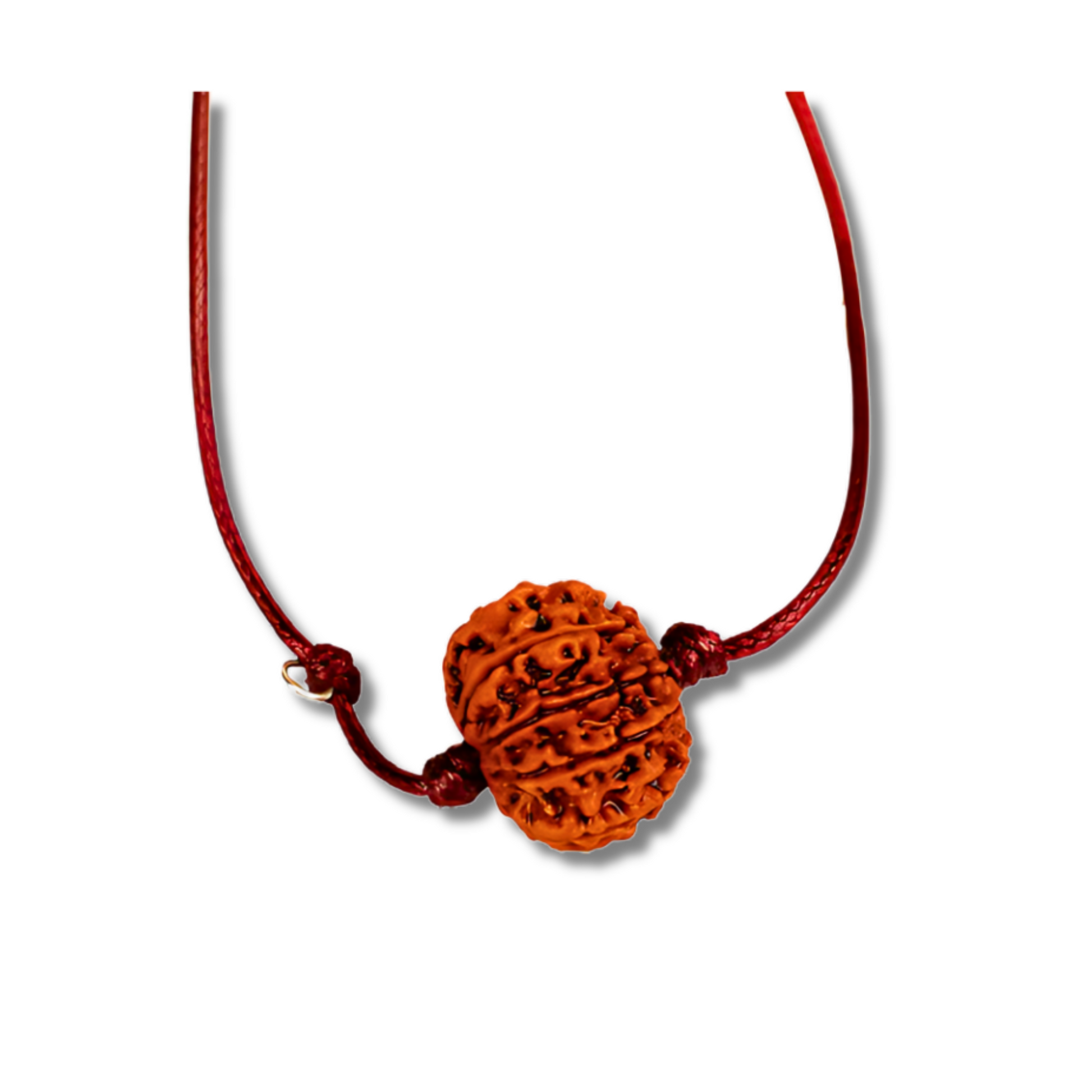 9-Augen-Rudraksha-Nepal-am-band