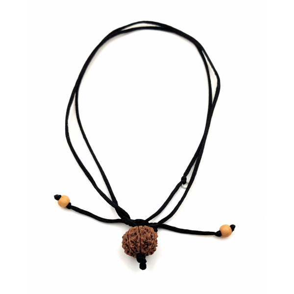 8-Augen-Rudraksha-Nepal-am-schwarzen-band