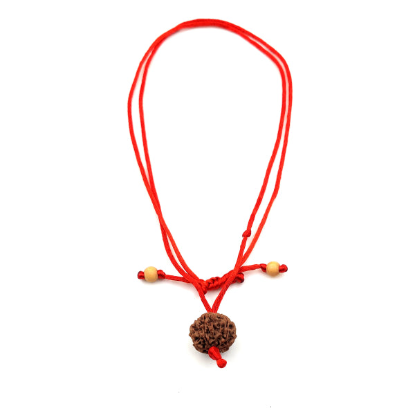 8-Augen-Rudraksha-Nepal-am-roten-band