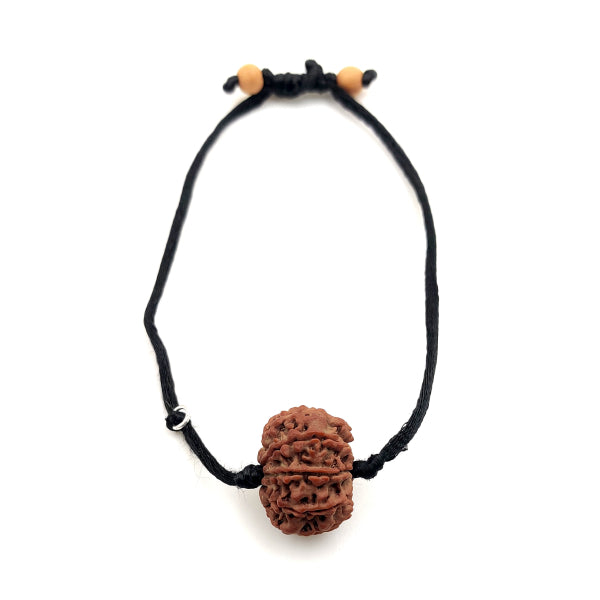 9-Augen-Rudraksha (Nepal) - Für innere Stärke und übernatürliche Wahrnehmung