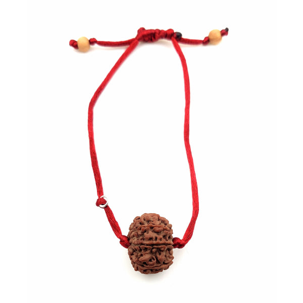 9-Augen-Rudraksha (Nepal) - Für innere Stärke und übernatürliche Wahrnehmung