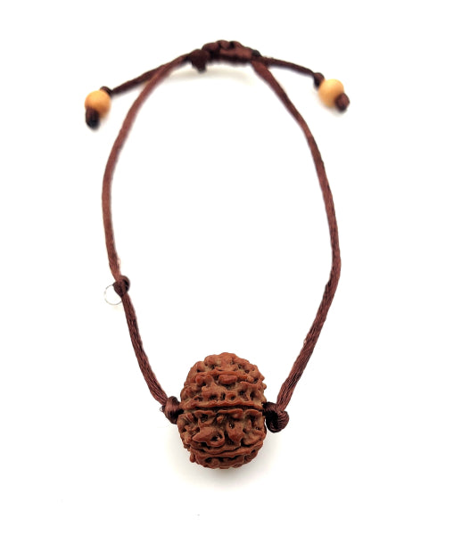 Rudraksha braun