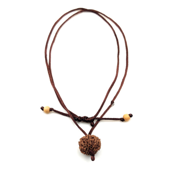 8-Augen-Rudraksha-Nepal-am-braunen-band