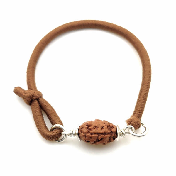 2-Augen-Rudraksha (Java) für Einheit, bedingungslose Liebe & Harmonie