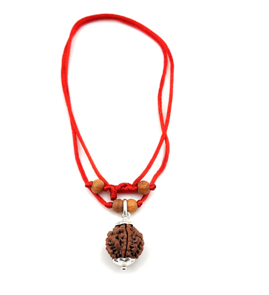 4-Augen-Rudraksha (Nepal) - Für klare Kommunikation & Verbindung von Wissen aller Art