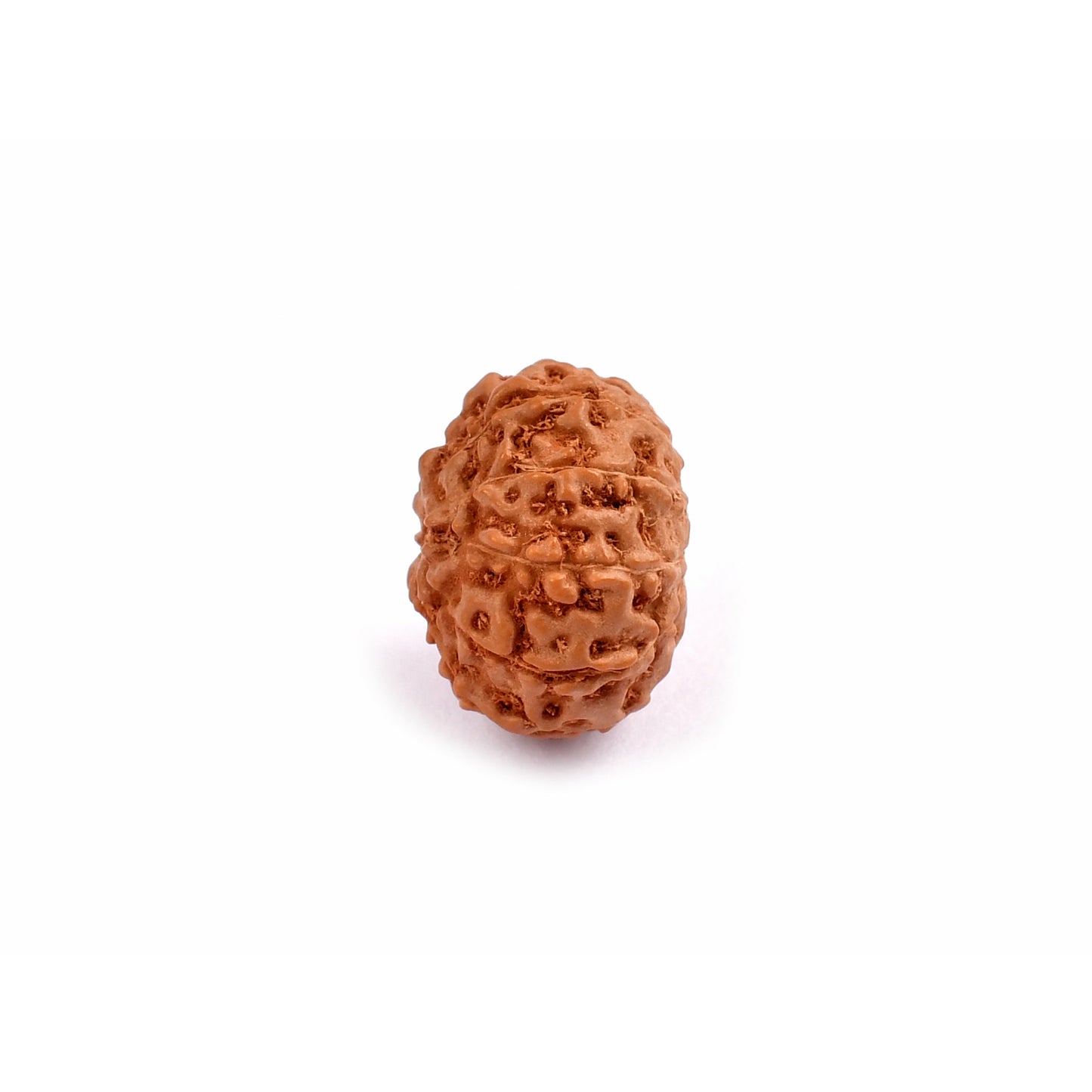 10-Augen-Rudraksha-Java-loose-side