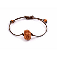 10-Augen-Rudraksha-Java-thread_bracelet