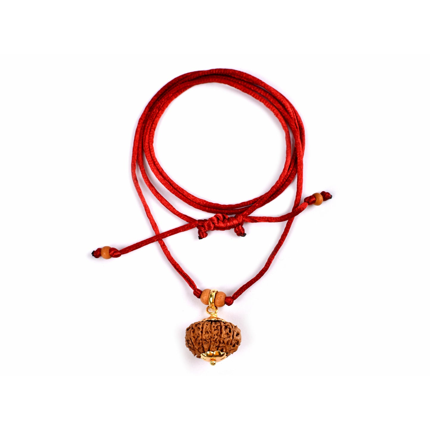 12-Augen-Rudraksha_Nepal