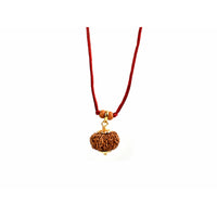 12-Augen-Rudraksha_Nepal