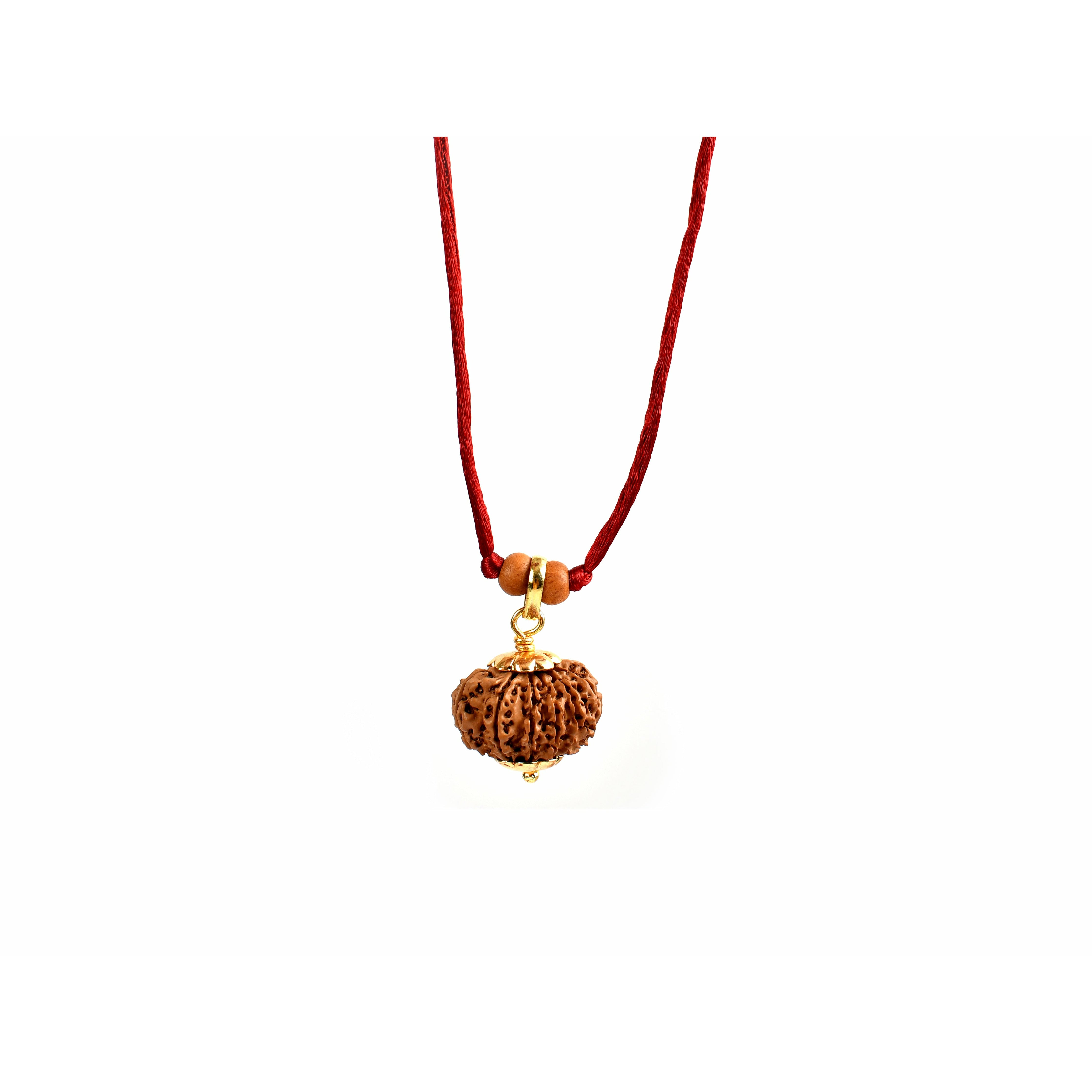 12-Augen-Rudraksha_Nepal