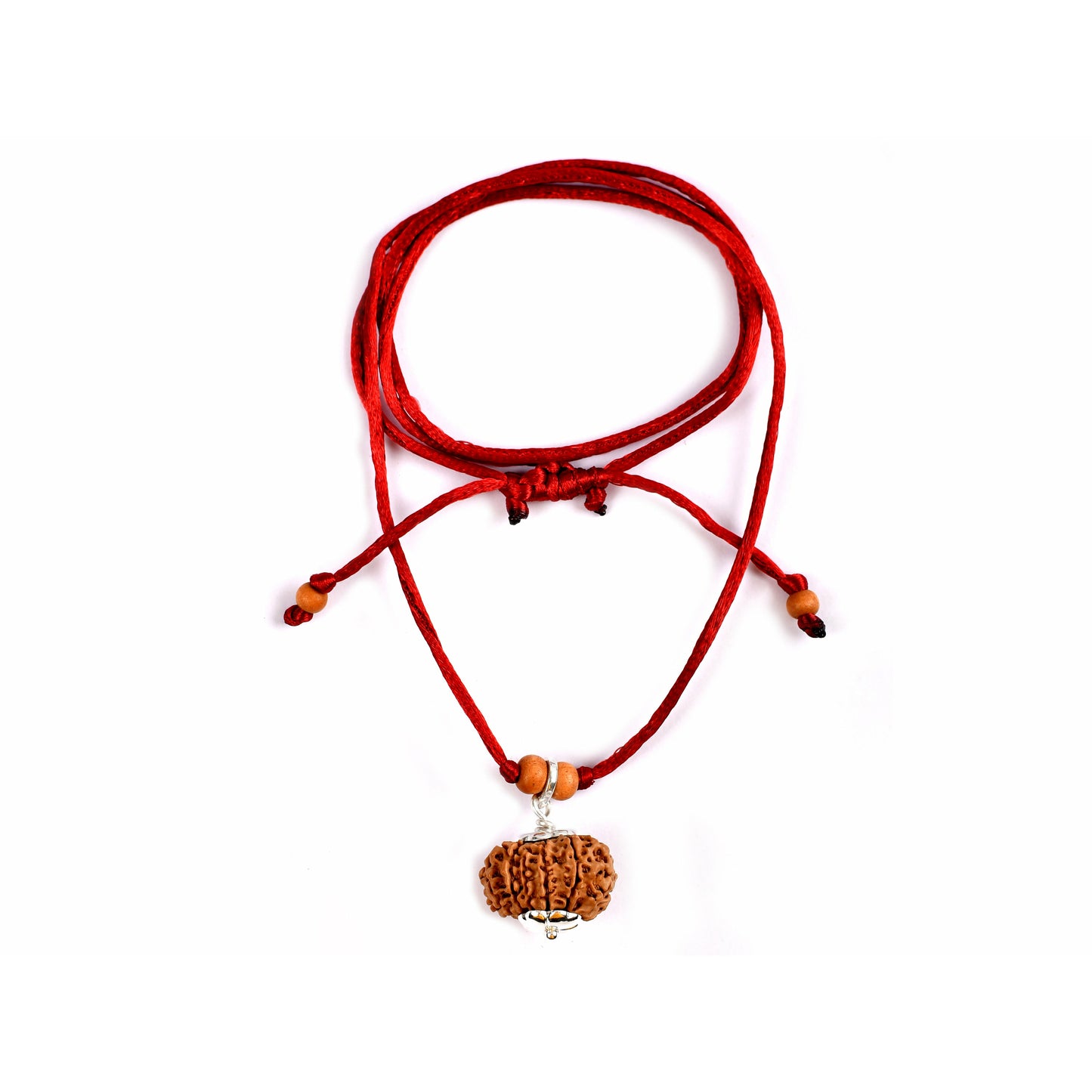 12-Augen-Rudraksha_Nepal