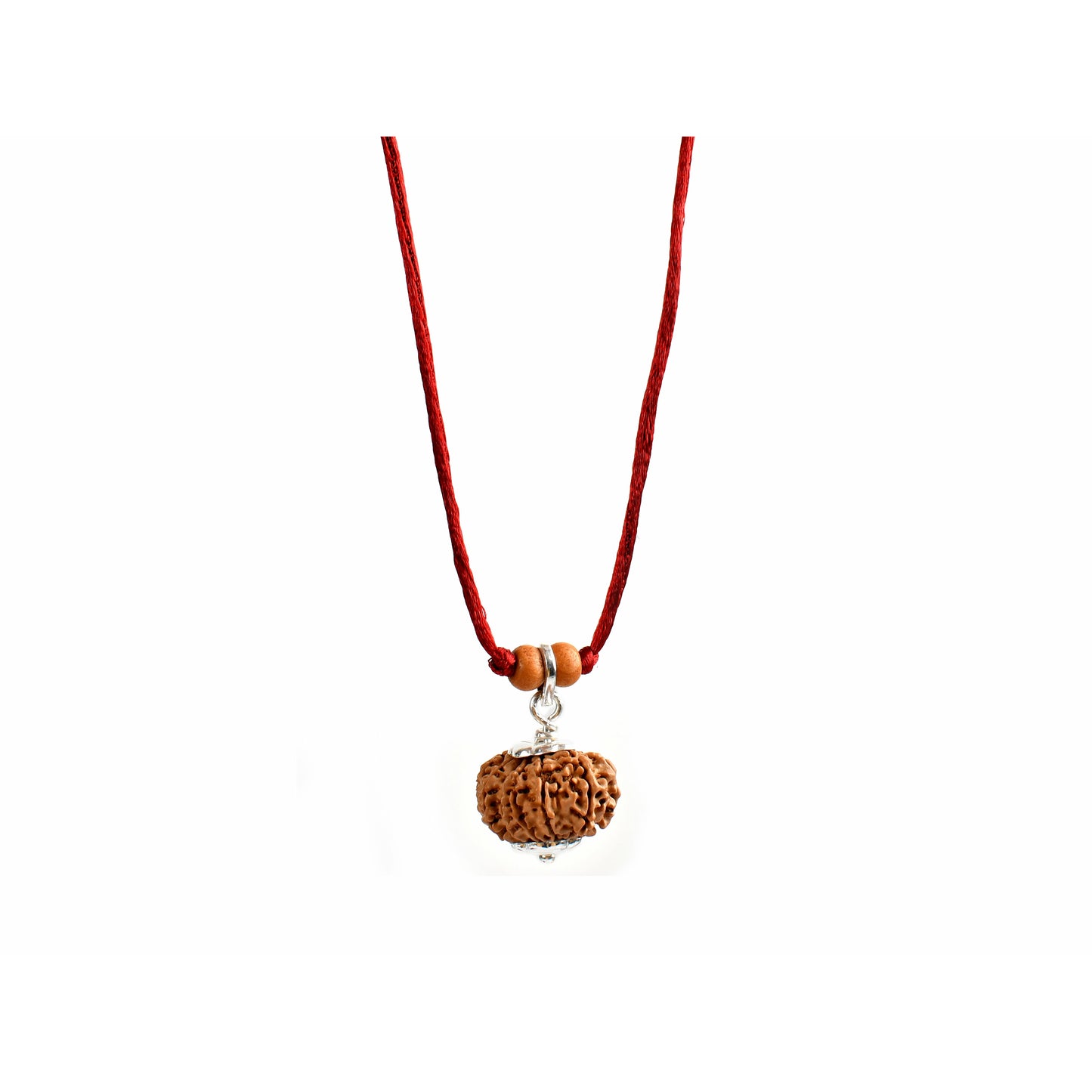 12-Augen-Rudraksha (Nepal