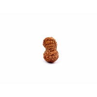 16-Augen-Rudraksha (Java)