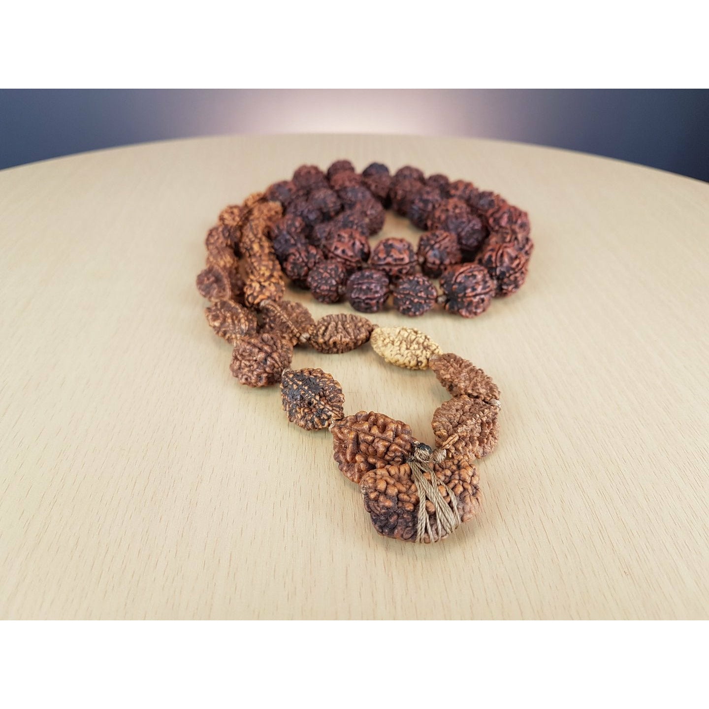 Siddha-Mala 1 - 6-Augen-Rudraksha (Nepal)