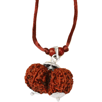 Gauri-Shankara-/Shiva-Shakti-Rudraksha (Nepal) in Silberfassung